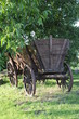 Heuwagen, Kutschwagen, Fuhrwerk