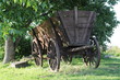 Heuwagen, Kutschwagen, Fuhrwerk