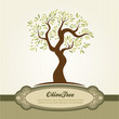 Vintage olive vector