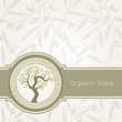 Vektor: Olive oil label template Olive oil label template