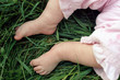 Foto: baby's feet on green grass baby's feet on green grass