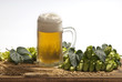beer - isolated