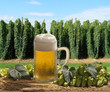 Beer with hop garden