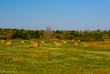 Photo: hay hay