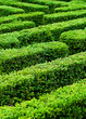 Photo: maze maze