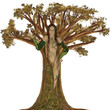 mother earth
