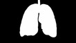 Lungs breathing. Loop ready with alpha-channel