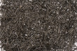 texture of nails