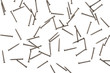 texture of nails