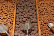 Truffes au chocolat Truffes au chocolat