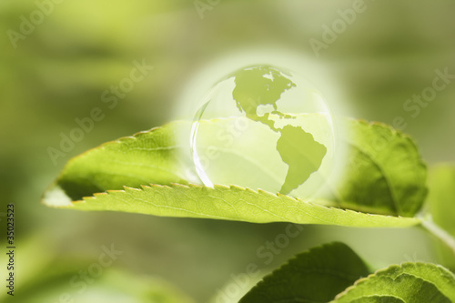Photo: Glass globe resting on green leaf Glass globe resting on green leaf
