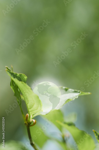 Foto: Glass globe resting on green leaf Glass globe resting on green leaf