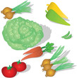 Vegetables for our table Vegetables for our table