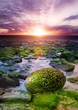 Sunset On The Coast