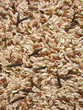 Variety of rice