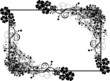 cadre floral noir