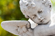 Old statue of an infant angel with a diffused green  background