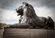 Bronze sculpture of a lion in Trafalgar Square, London Bronze sculpture of a lion in Trafalgar Square, London