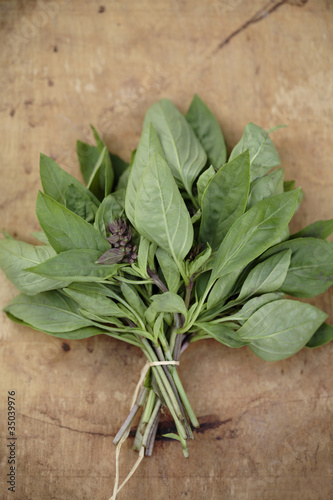 Photo: Bouquet of Thai basil Bouquet of Thai basil