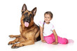 girl and German shepherd dog girl and German shepherd dog