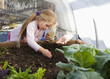 Caucasian girl planting seeds in garden