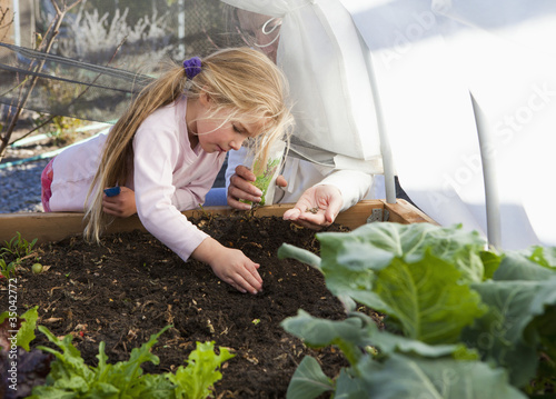Photo: Caucasian girl planting seeds in garden Caucasian girl planting seeds in garden