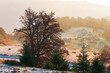 Autumn misty morning mountain view