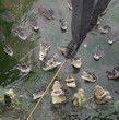 Caucasian businessman walking tightrope over alligators