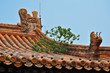 tree growing out of colorful chinese roof in beijing