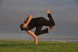 Breakdancer