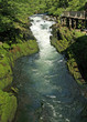 Rapids Rapids