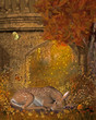 fawn in the wood