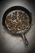 Morel mushrooms in saute pan