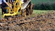 labourer le champ