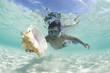 Hispanic man snorkeling and finding shell