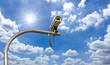 Outdoor Security cctv cameras under Sun shine
