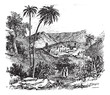Bethany or Biblical village, Jerusalem, vintage engraving. Bethany or Biblical village, Jerusalem, vintage engraving.