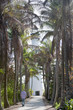 Foto: Hispanic man walking on tropical path Hispanic man walking on tropical path
