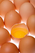 Foto: Eggs Eggs