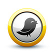 icône oiseau information