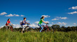 Family riding bikes