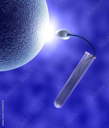 Illustration: human sperm human sperm