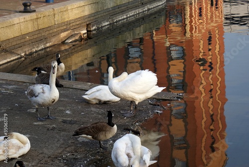 Photo: Manchester - Salford Quays Manchester - Salford Quays