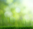 natural green background