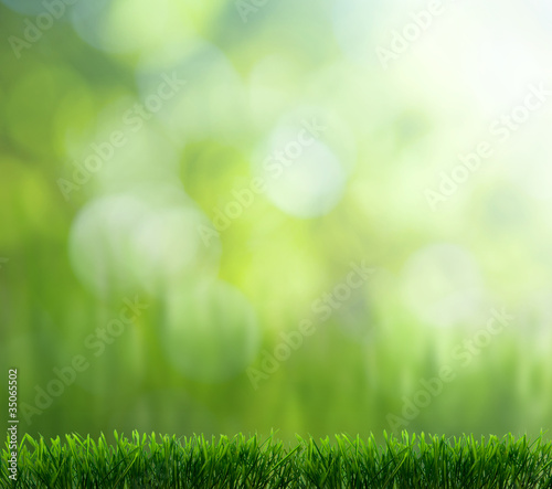 Photo: natural green background natural green background