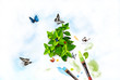 Paint nature