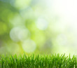 Foto: background background