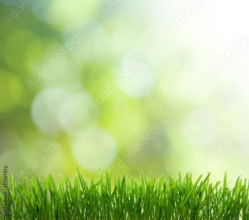 Photo: background background