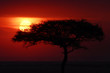 African sunset
