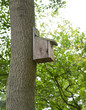 Bird Box